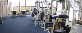 Performance Physical Therapy | Chelsea MA
