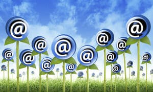 email lists and newsletter tips