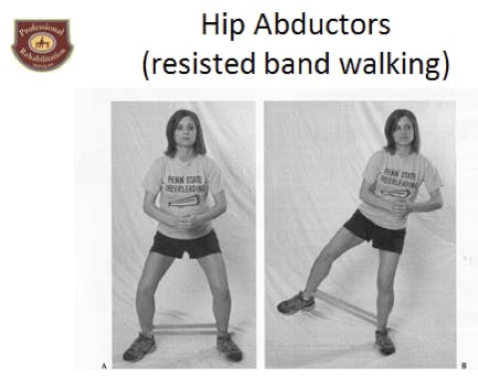 Hip Abductors