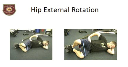 Hip External Rotation