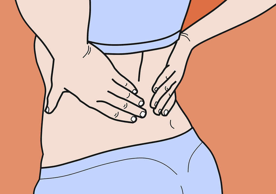 How is lower back pain categorized?