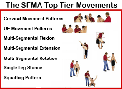 The SFMA Top Tier Movements