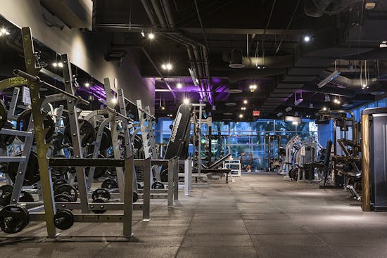 SportsFit Physical Therapy & Fitness | West Los Angeles, CA | Weight Room