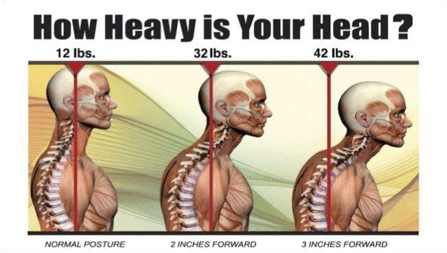 How heavy is your head?