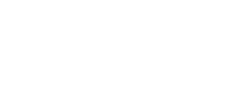 Boston Physical Therapy & Wellness