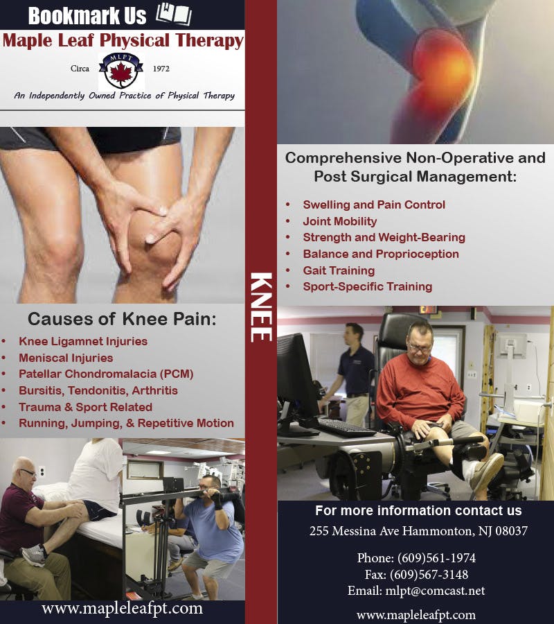 Maple Leaf Physical Therapy | Knee bookmark