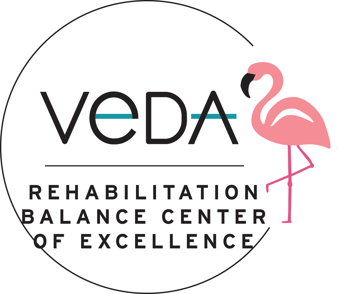 VEDA Rehabilitation Balance Center of Excellence