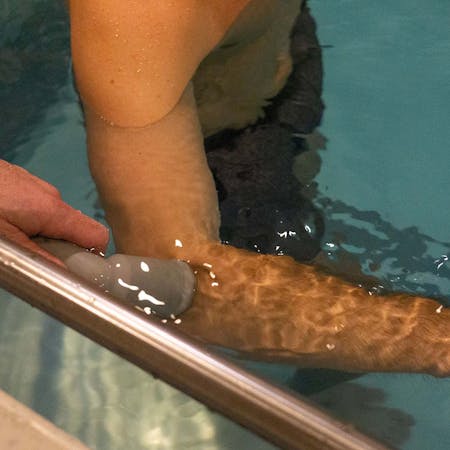 Aquatic Therapy 4 PRO Columbus action 15