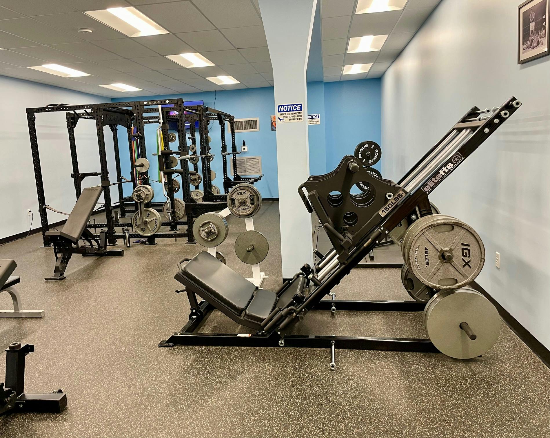 image4 (17)