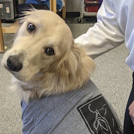 PT Services of Tennessee - Dr. Dolly Dog
