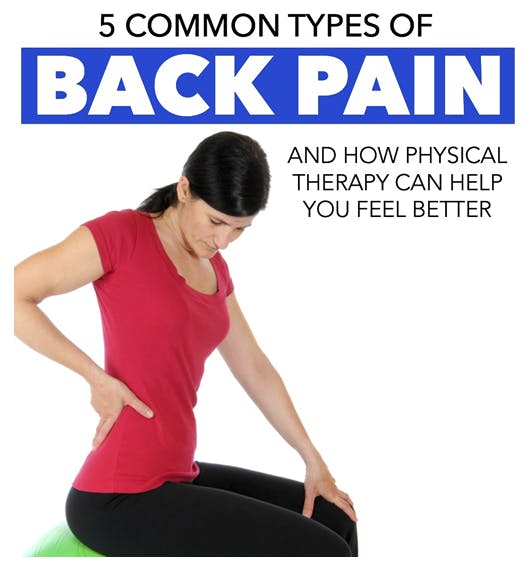 Lower Back Exercises: 6 Core-Strengthening Moves