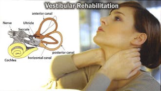 Premier Rehab Physical Therapy | Vestibular Rehabilitation