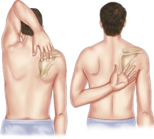 Shoulder Pain Test