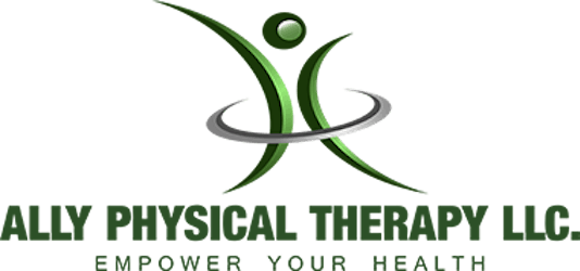 Home Ally Physical Therapy Mi