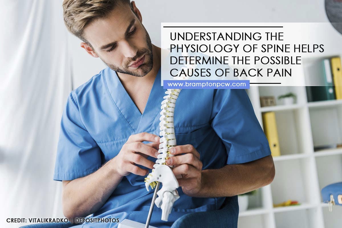 11 Possible Reasons Your Back Hurts