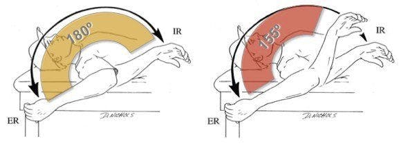 GIRD and retrotorsion