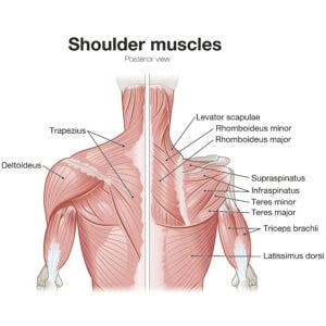 Shoulder pain swimmers