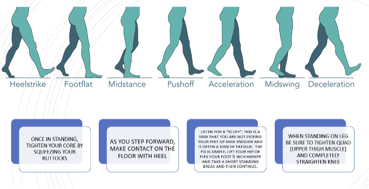 Infographic showing proper heelstrike, footflat, midstance, pushoff, acceleration, midswing and deceleration with instructions underneath