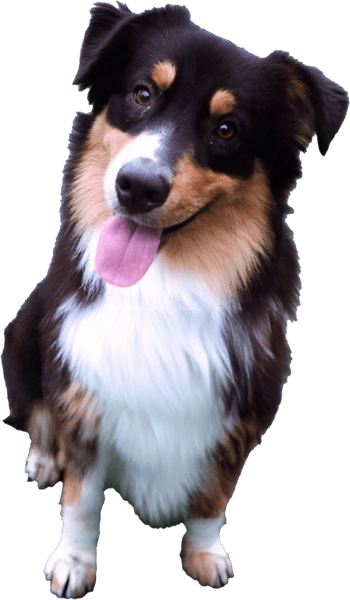 physical therapy Mesa AZ