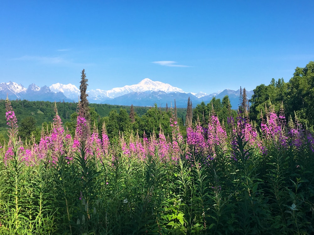 physical therapy Big Lake AK