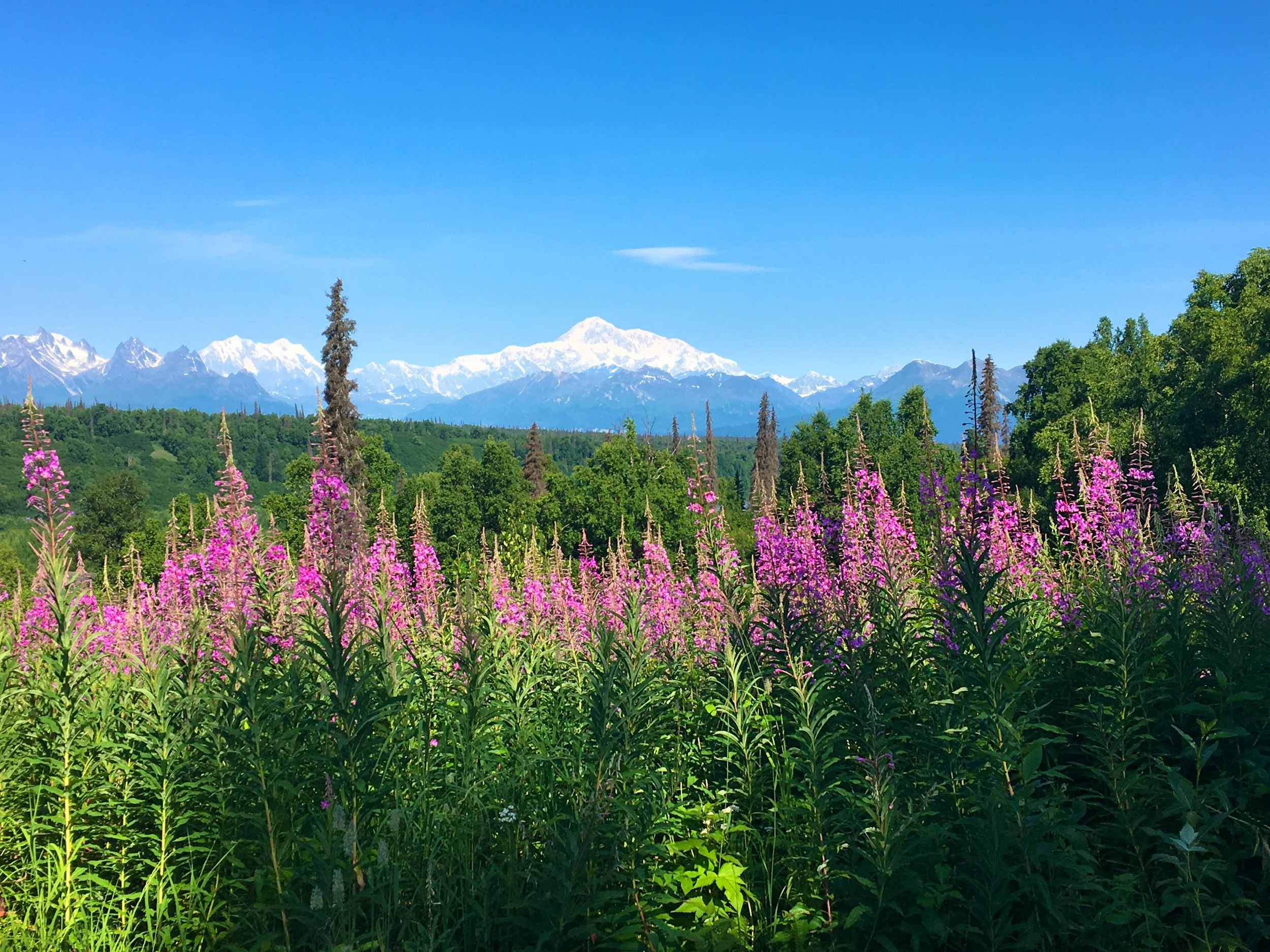 physical therapy Big Lake AK