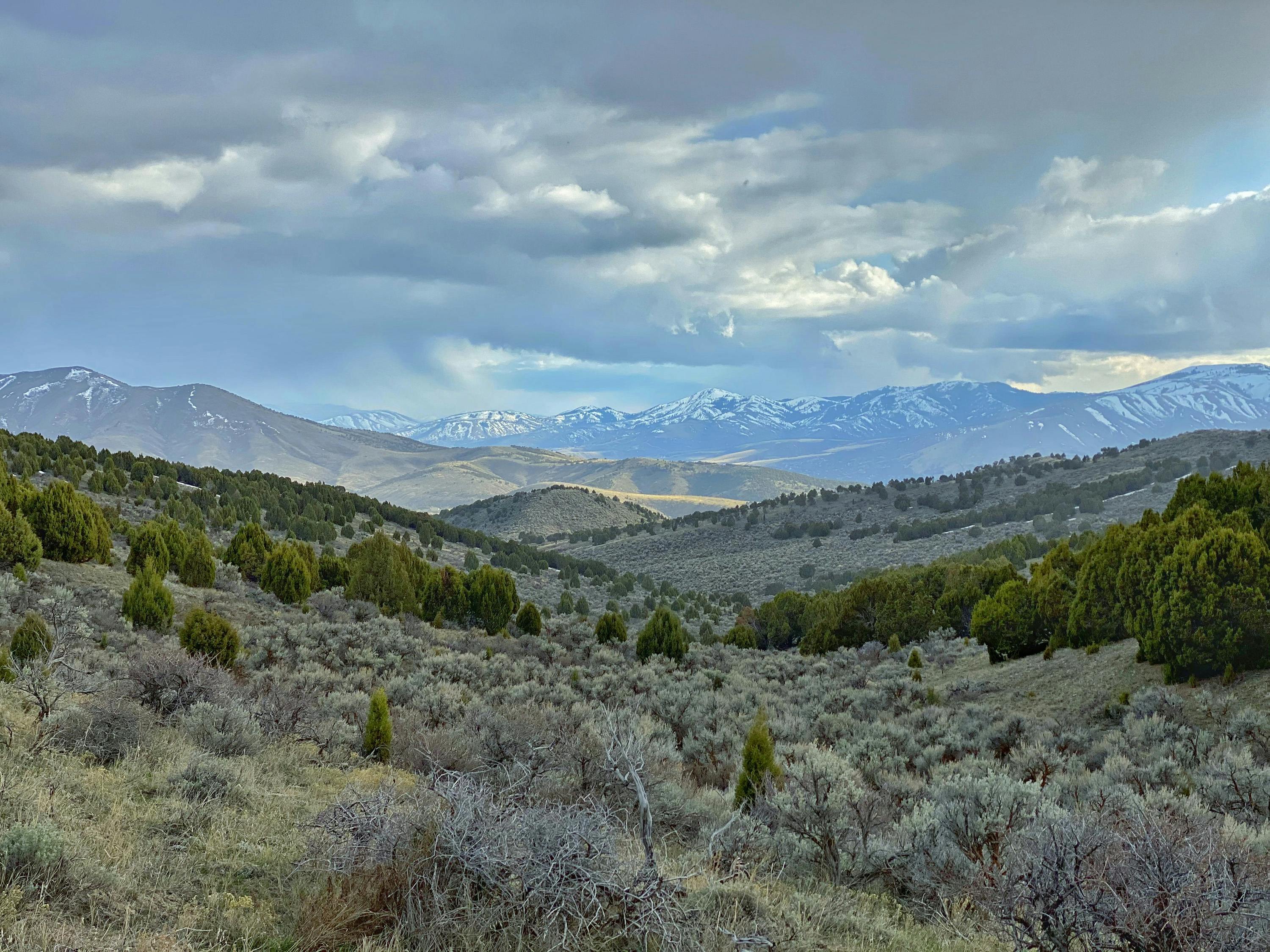 Physical Therapy Chubbuck ID