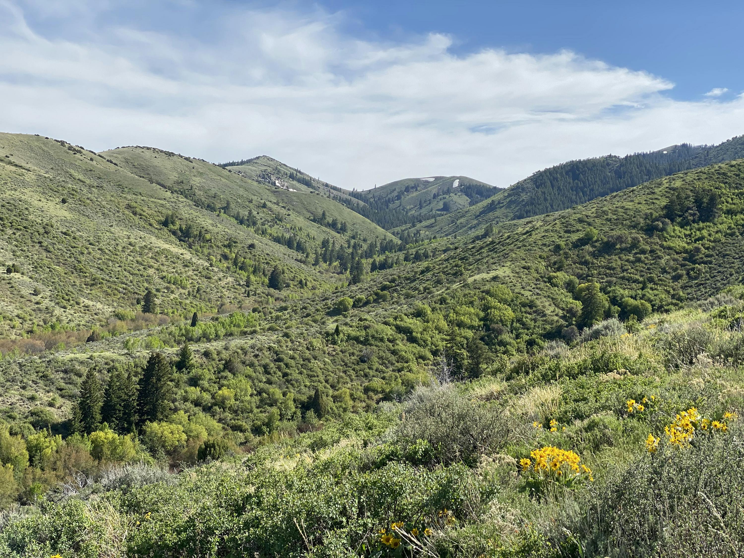 Physical Therapy Chubbuck ID