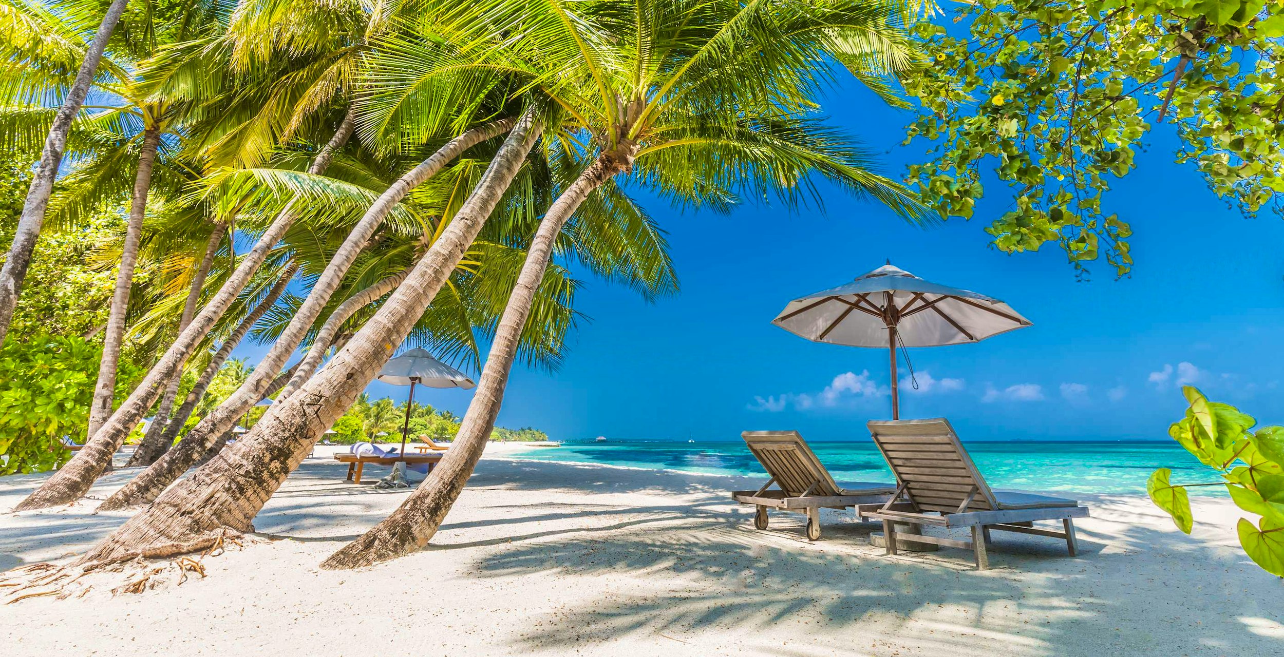 Frontline Physical Therapy