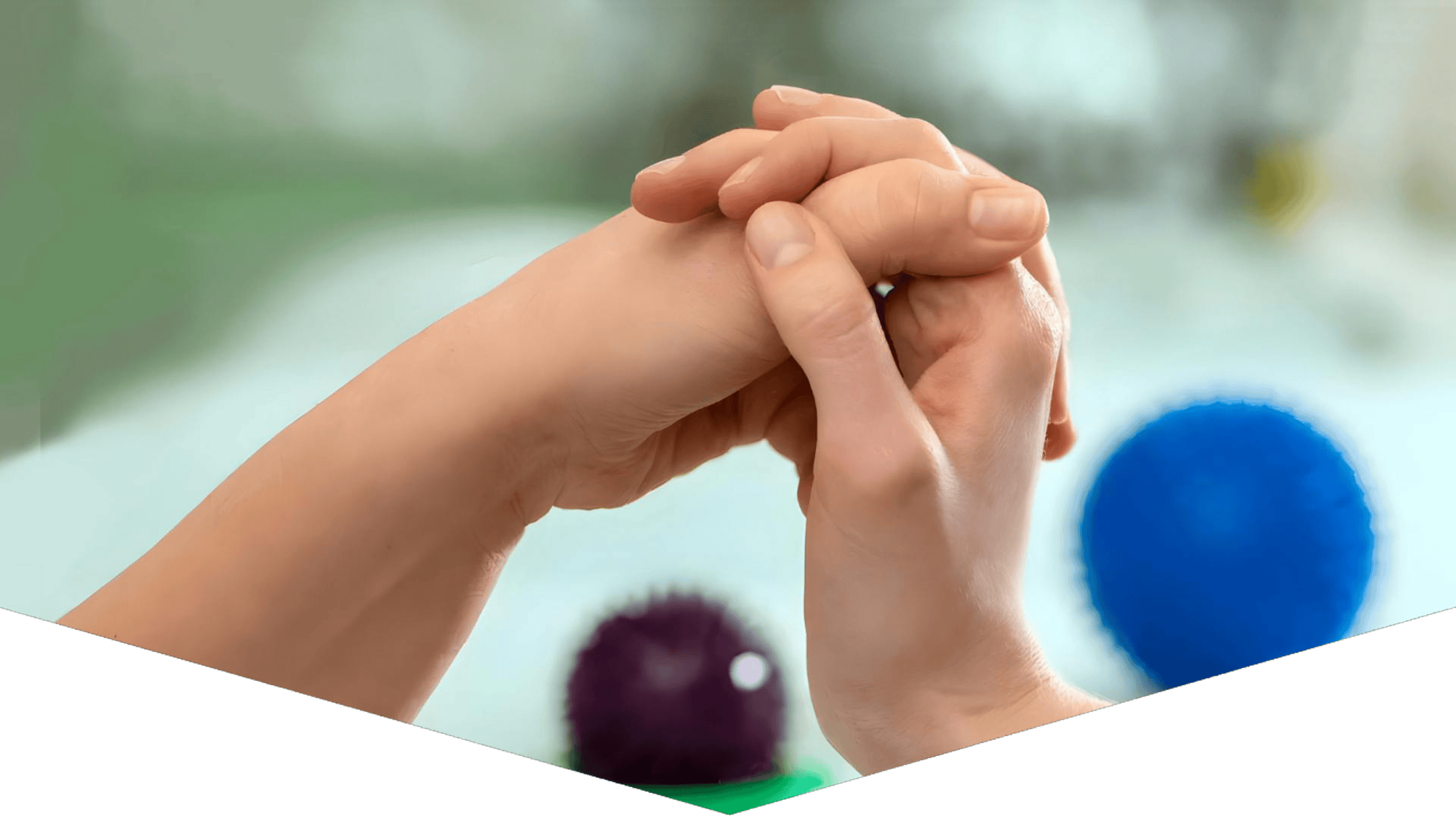 Home - Ally Physical Therapy - Canton, Livonia, Novi and ... — Physical Therapy clinic in Livonia, MI — photo 2