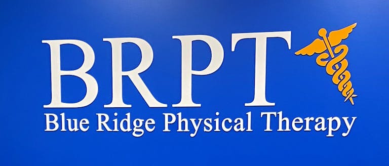 Blue Ridge Physical Therapy - Group Photo