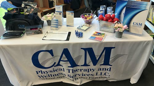CAM Physical Therapy and Wellness Services LLC