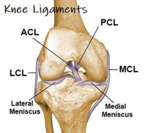 Anterior cruciate ligament injury - Wikipedia
